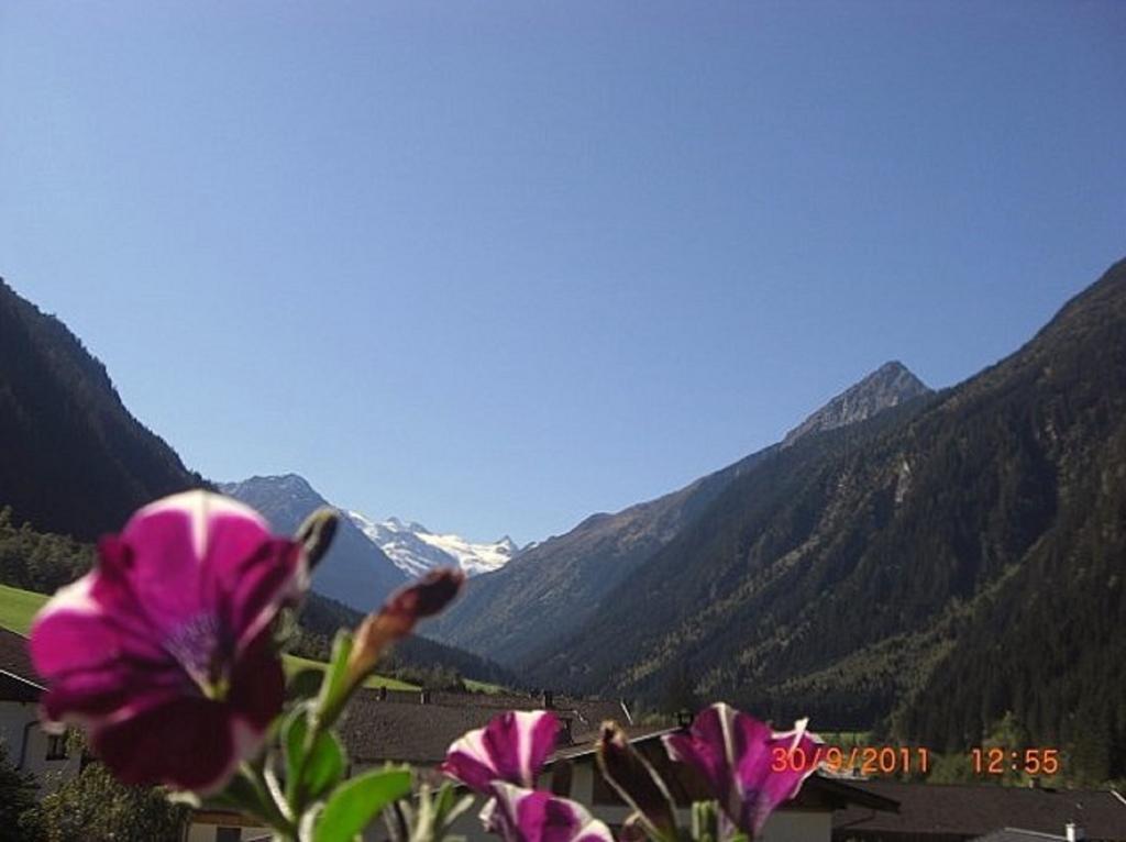 Appartements Fam. Gleinser Mirella Neustift im Stubaital Exterior photo