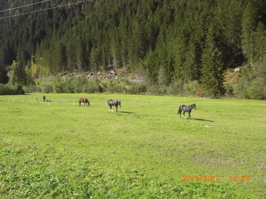 Appartements Fam. Gleinser Mirella Neustift im Stubaital Exterior photo